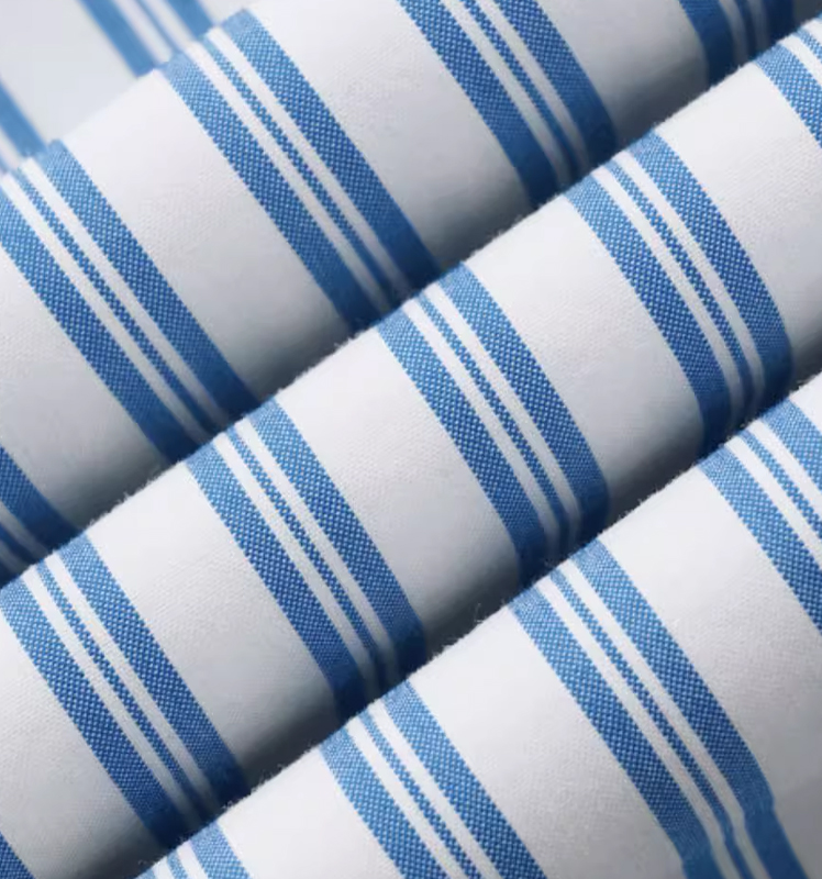 【贡缎衬衫】Hazzys哈吉斯长袖条纹衬衣女士秋季时尚休闲通勤上衣